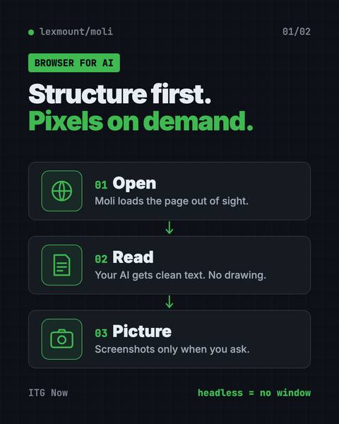 First infographic from the Moli guide